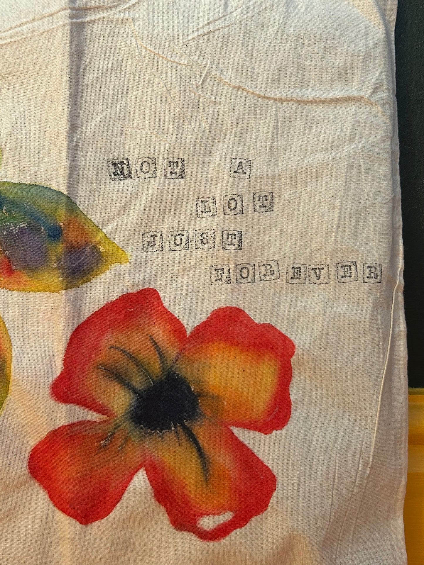 Adrianne Lenker 'Songs' Inspired Tote Bag